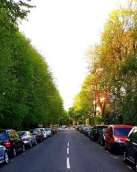 Cars on street against clear sky