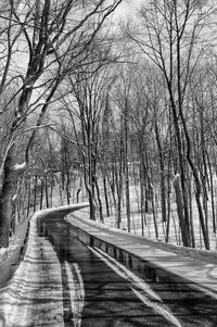 Road amidst bare trees against sky