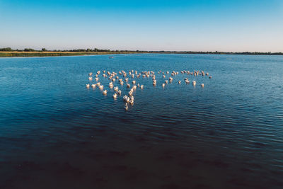 View of birds in lake against sky