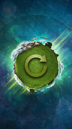 High angle view of turtle