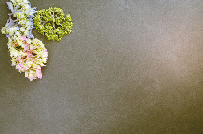 High angle view of flowers