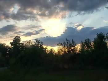 Silhouette trees on field against sky at sunset