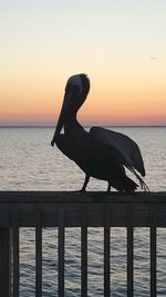 Scenic view of sea at sunset