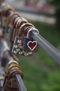 Close-up of padlocks on railing