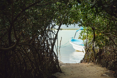 Scenic view of sea