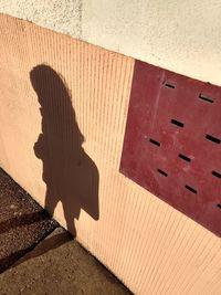 High angle view of shadow on wood