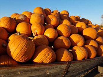 Pumpkins on crate against clear sky
