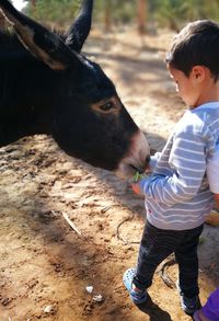 Boy with horse on field