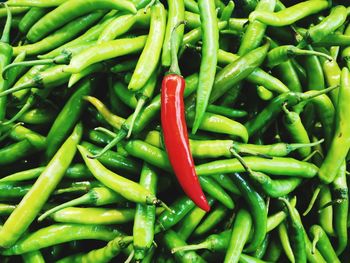 Full frame shot of green chili peppers