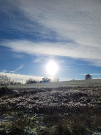 sunlight