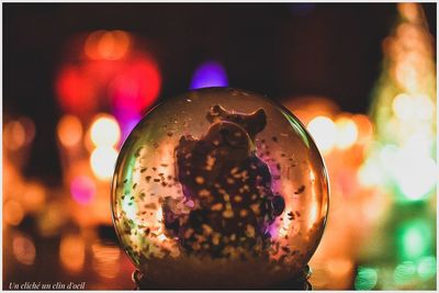 Close-up of illuminated christmas lights