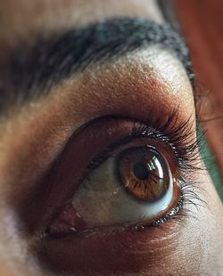 Close-up portrait of human eye