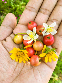 Cropped image of hand holding flowers and fruits