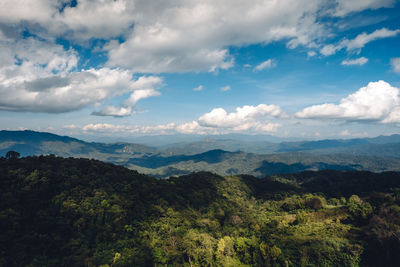 environment