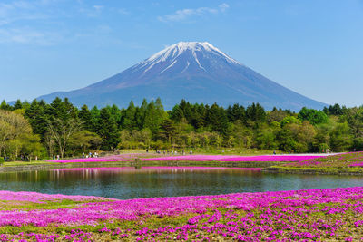 Scenic view of lake against mountain