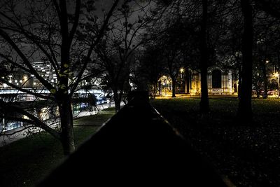 Empty footpath amidst trees