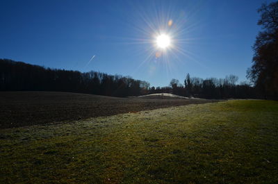 Scenic view of field against clear sky