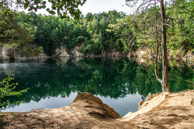 Scenic view of lake amidst trees in forest