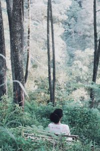 Rear view of a man in forest