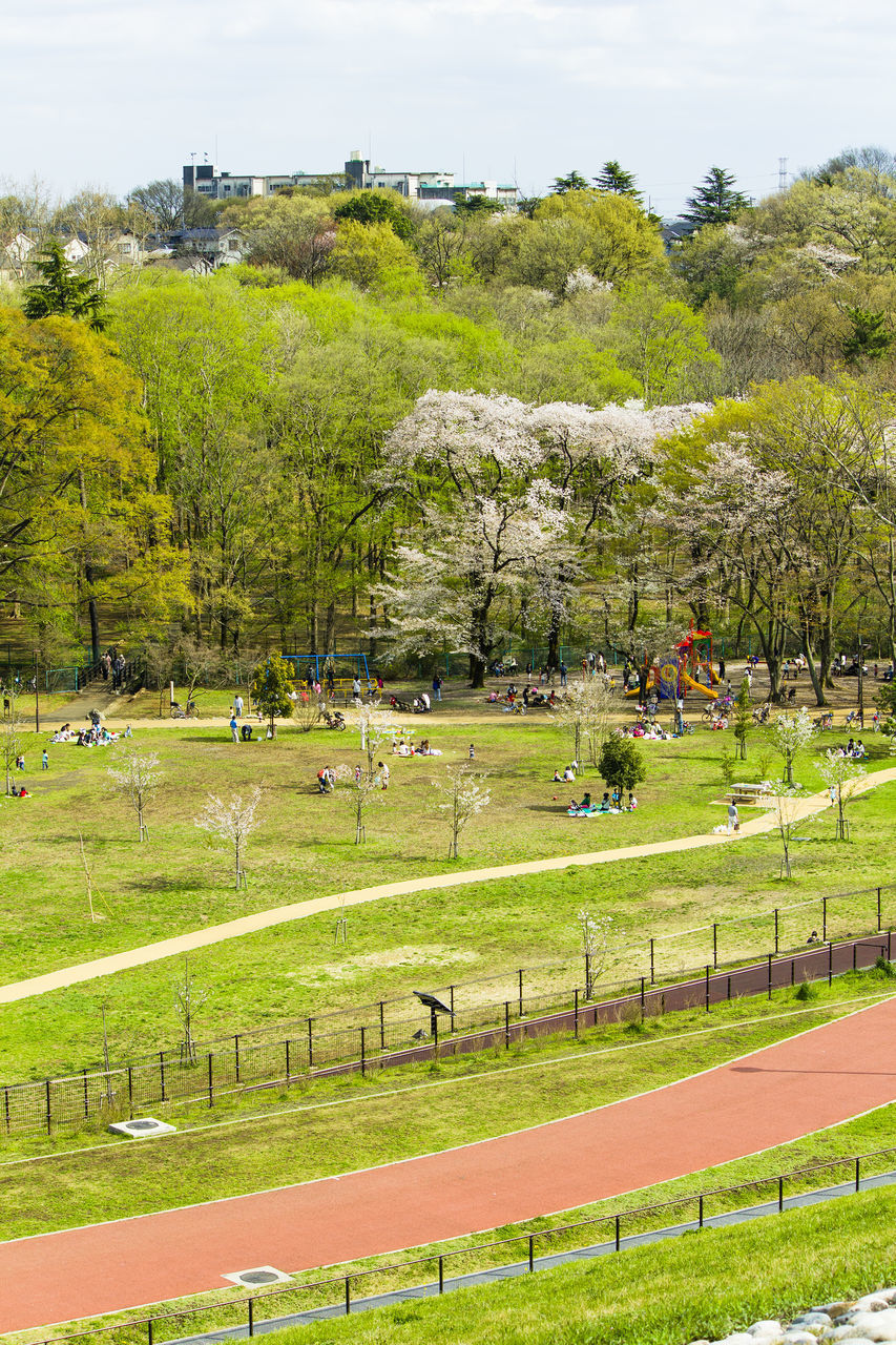 SCENIC VIEW OF PARK AGAINST SKY