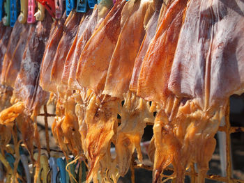 Close-up of an animal for sale at market stall