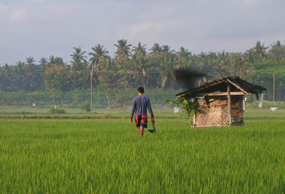 agriculture