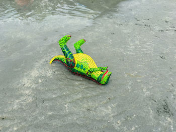 High angle view of dinosaur toy on shore