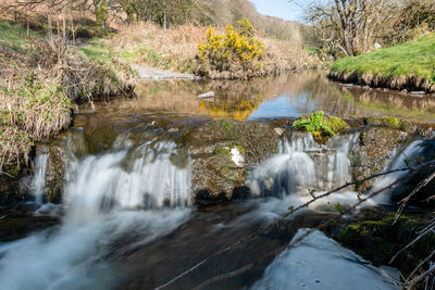 Scenic view of waterfall in forest