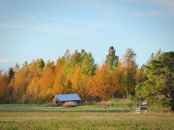 Scenic view of trees on field against sky