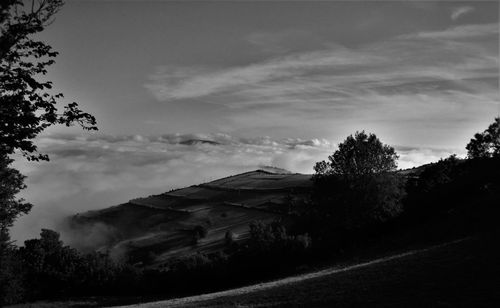 Trees on landscape against cloudy sky