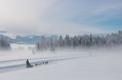 Scenic view of snow covered land against sky