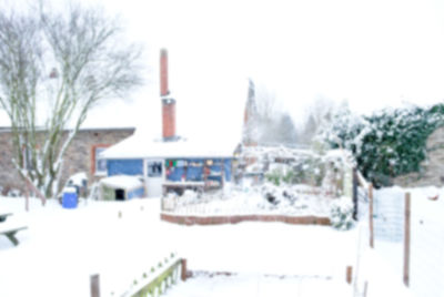 Snow covered plants by building against clear sky