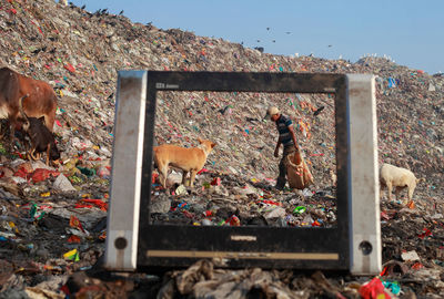 Abandoned garbage on field