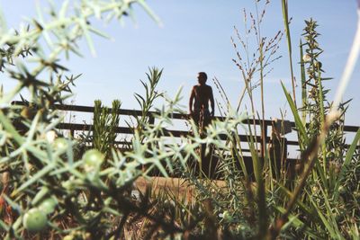 Shirtless man looking away standing by railing against sky