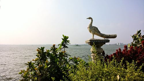 Bird perching on tree by sea