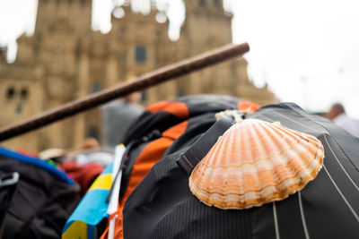 Camino de santiago scallop shell in santiago de compostela cathedral in plaza del obradeiro,