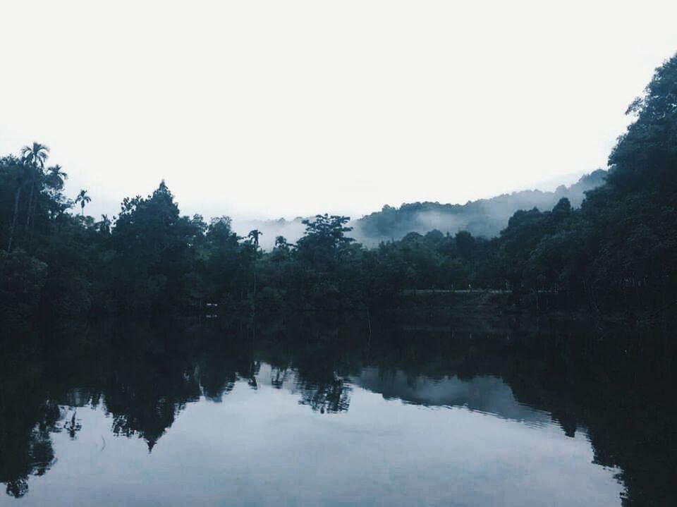 REFLECTION OF TREES ON LAKE