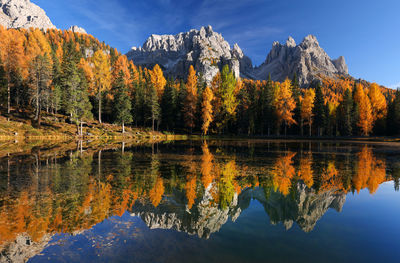 Scenic view of lake by trees against sky