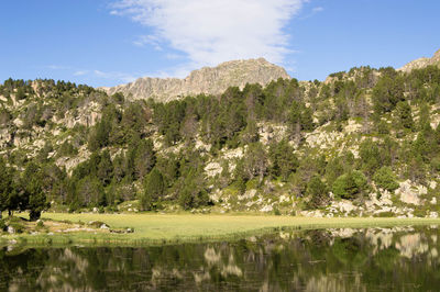 Scenic view of lake by trees against sky