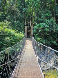 Footbridge in forest