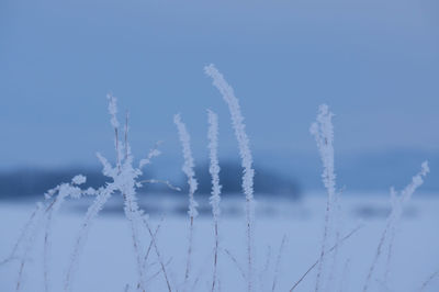 Close-up of vapor trail in winter