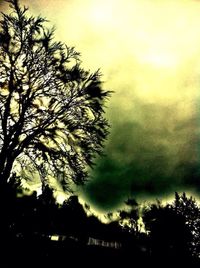 Low angle view of trees against cloudy sky