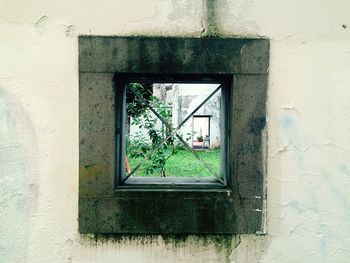 View of plants against the sky