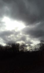 Silhouette trees against sky