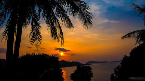 Silhouette palm trees against romantic sky at sunset