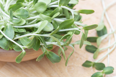 High angle view of chopped leaves on table