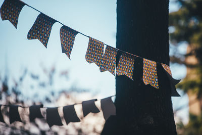 Low angle view of flags hanging from tree