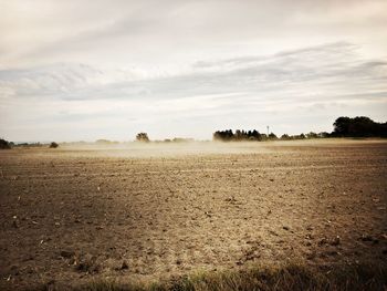 Scenic view of field against sky