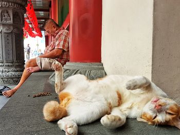 Portrait of man with dog sitting on floor