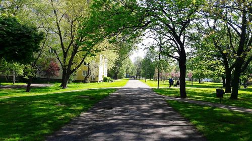 Road amidst trees against sky